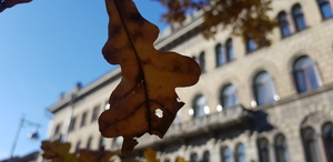 Пешеходная экскурсия по старому городу