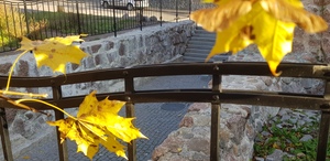 Пешеходная экскурсия по старому городу