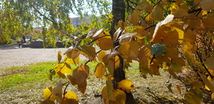 Пешеходная экскурсия по старому городу