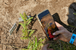 МотоПарк Мира на поле Пасхина